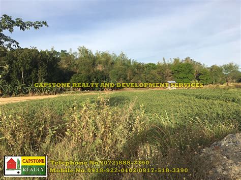 Agricultural Lot For Sale in the Philippines .